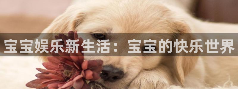 mg游戏不朽情缘在线：宝宝娱乐新生活：宝宝的快乐世界