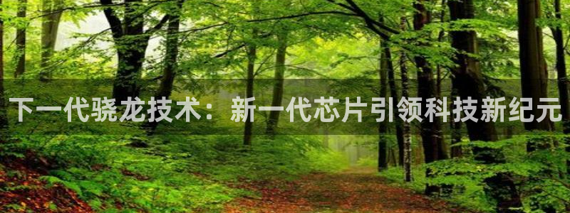 mg不朽情缘游戏下载：下一代骁龙技术：新一代芯片引领科技新纪元