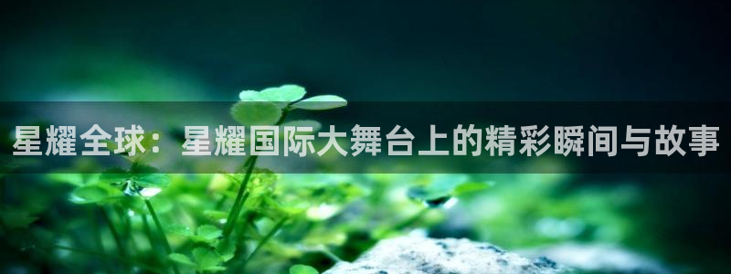 mg不朽情缘炸：星耀全球：星耀国际大舞台上的精彩瞬间与故事