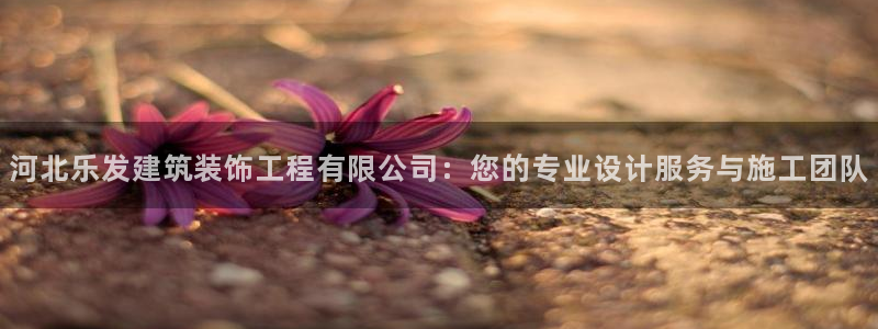 不朽情缘5滴血多少倍：河北乐发建筑装饰工程有限公司：您的专业设计服务与施工团队