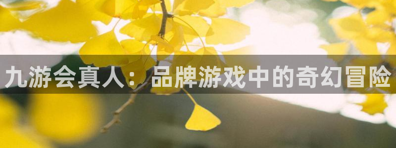 mg不朽情缘爆分后怎么拿奖励：九游会真人：品牌游戏中的奇幻冒险
