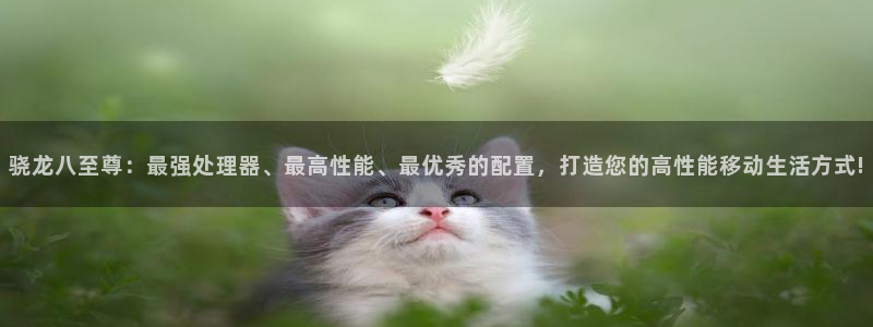 不朽情缘mg：骁龙八至尊：最强处理器、最高性能、最优秀的配置，打造您的高性能移动生活方式!