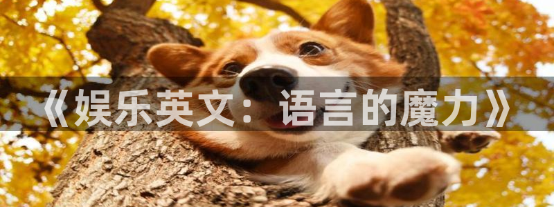 mg不朽情缘玩法：《娱乐英文：语言的魔力》