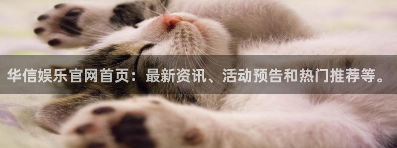 mg不朽情缘怎么下载：华信娱乐官网首页：最新资讯、活动预告和热门推荐等。