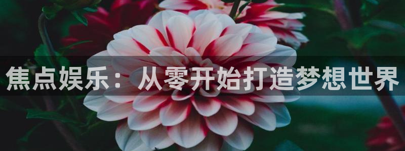 不朽情缘mg：焦点娱乐：从零开始打造梦想世界