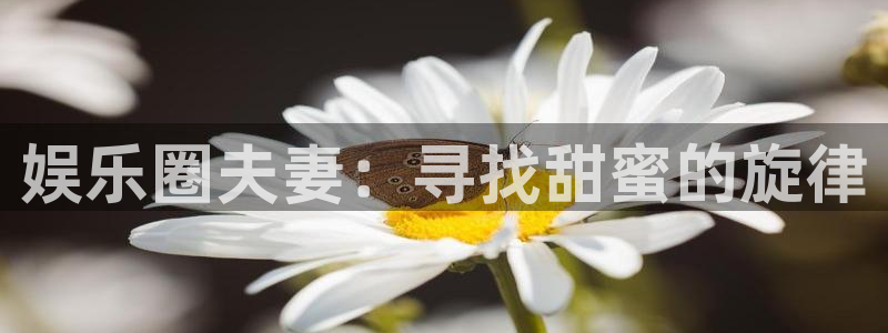 mg不朽情缘爆分后怎么拿奖励：娱乐圈夫妻：寻找甜蜜的旋律