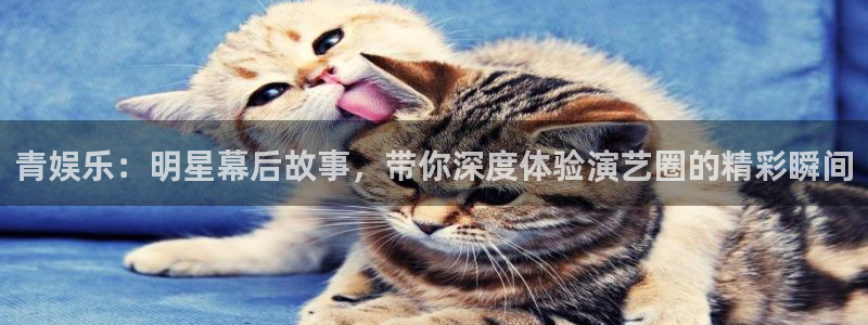 mg电子不朽情缘：青娱乐：明星幕后故事，带你深度体验演艺圈的精彩瞬间