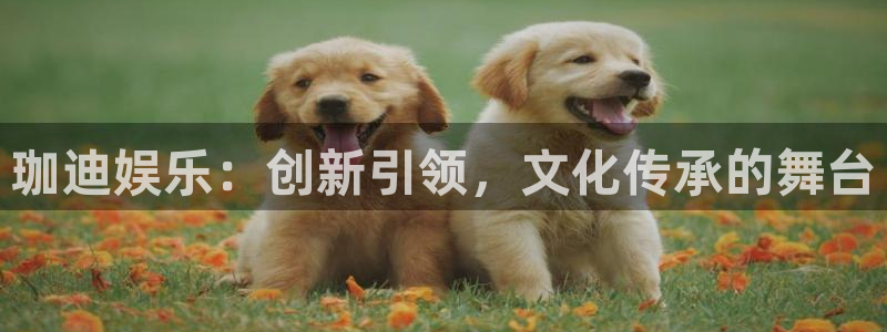 mg不朽情缘怎么玩：珈迪娱乐：创新引领，文化传承的舞台