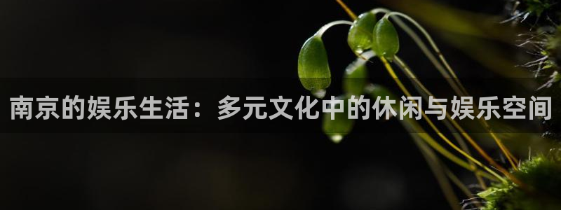 mg不朽情缘炸：南京的娱乐生活：多元文化中的休闲与娱乐空间