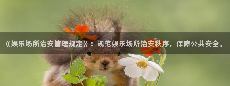 mg游戏不朽情缘：《娱乐场所治安管理规定》：规范娱乐场所治安秩序，保障公共安全。
