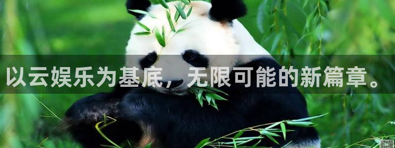 mg不朽情缘大奖