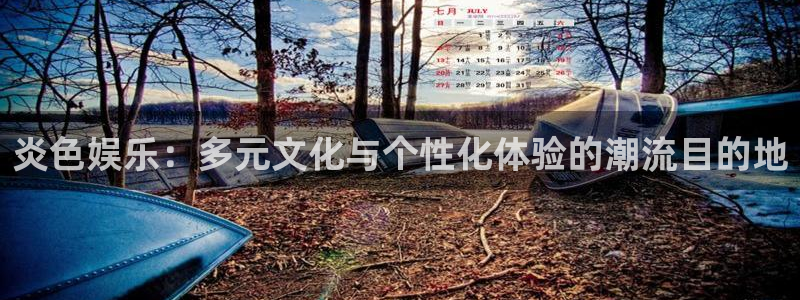 mg不朽情缘官网：炎色娱乐：多元文化与个性化体验的潮流目的地