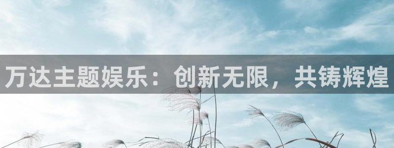不朽情缘5滴血：万达主题娱乐：创新无限，共铸辉煌