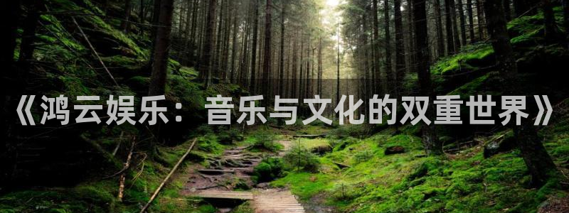 mg不朽情缘元爆万：《鸿云娱乐：音乐与文化的双重世界》