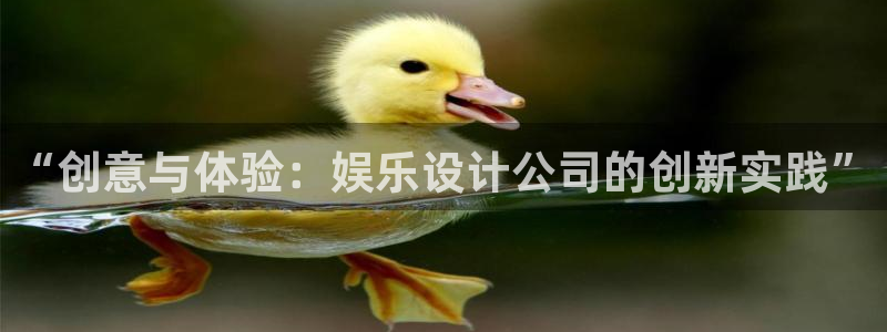 mg不朽情缘四滴血：“创意与体验：娱乐设计公司的创新实践”