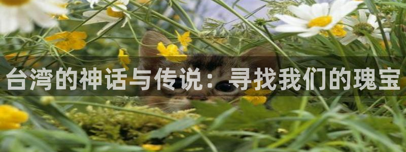 不朽情缘最新app下载：台湾的神话与传说：寻找我们的瑰宝