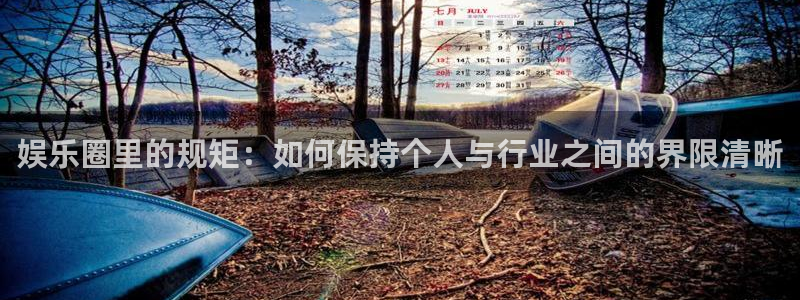 不朽情缘5滴血70万：娱乐圈里的规矩：如何保持个人与行业之间的界限清晰
