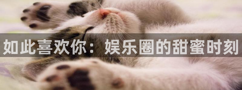 mg游戏不朽情缘在线：如此喜欢你：娱乐圈的甜蜜时刻