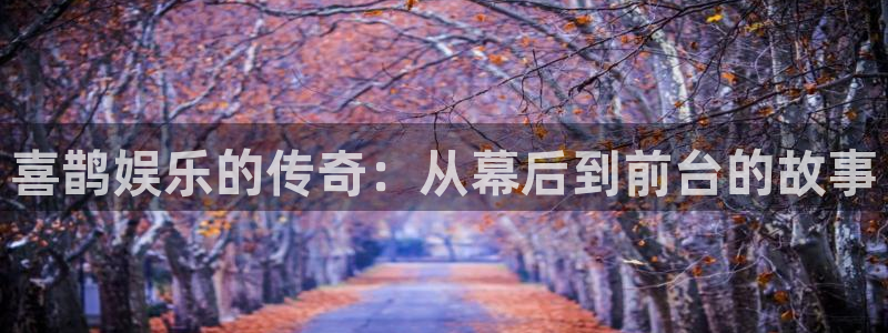 不朽情缘官方网站下载：喜鹊娱乐的传奇：从幕后到前台的故事